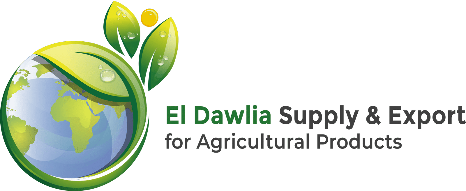 الصفحة الرئيسية