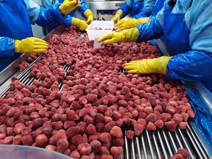 فراولة مجمدة