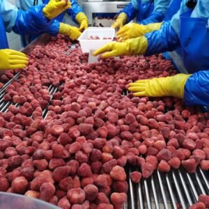 الفواكه الطازجة والمجمدة