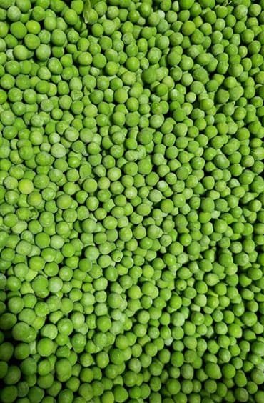 بازلاء مجمدة