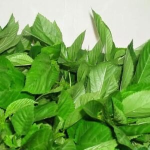 ملوخية مجمدة