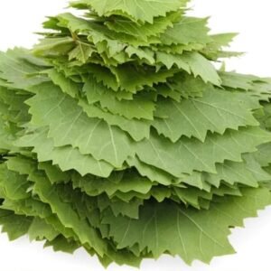 الخضروات الورقية الطازجة والمجمدة